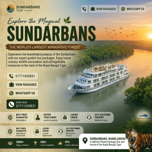 3-Day Sundarbans Tour on MV The Coastal Cruise