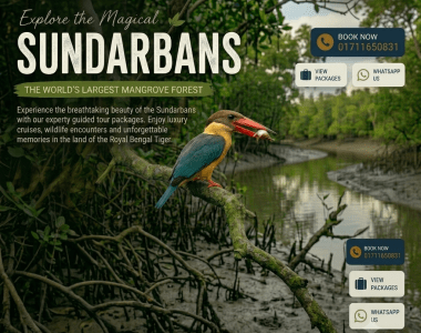 stork-billed kingfisher