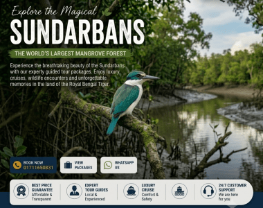 Collared Kingfisher