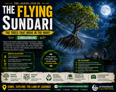 Flying Sundari