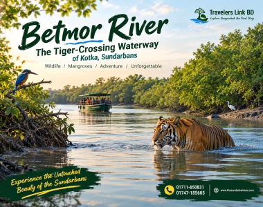 Betmor River Sundarbans
